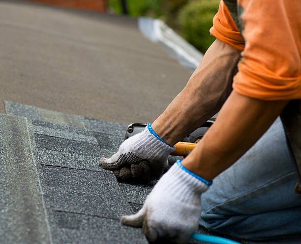 Best Storm Damage Roof Repair  in Carmi, IL